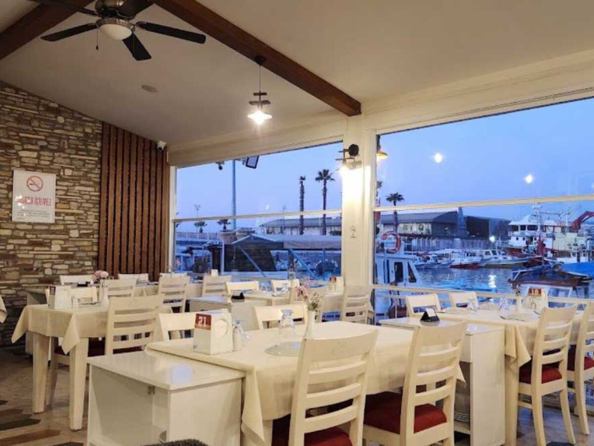 Shved porno modellar